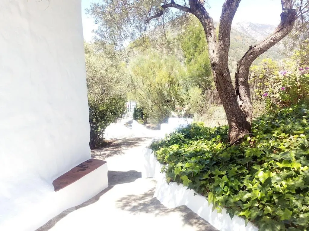Cortijo Tipico Andaluz En La Sierra Cerca De Frigiliana De Nerja Y De Las Playas Holiday home